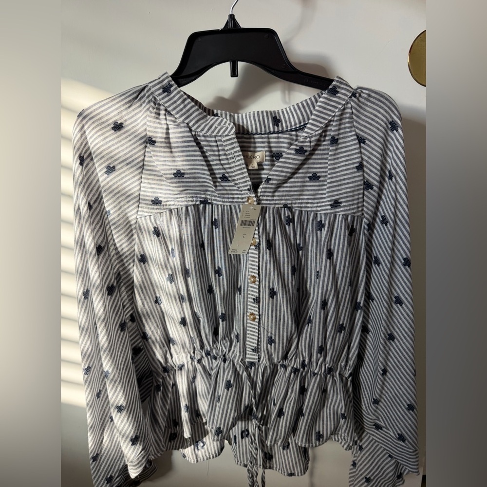Anthropologie Blue and White Striped Top